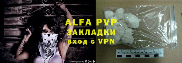 PSILOCYBIN Вязьма