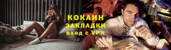 гашик Вяземский