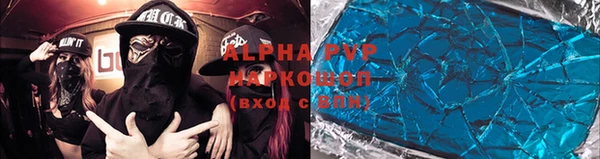 PSILOCYBIN Вязьма