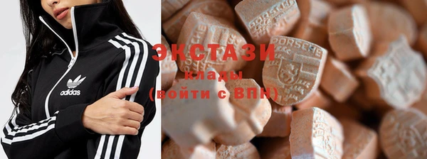 гашик Вяземский
