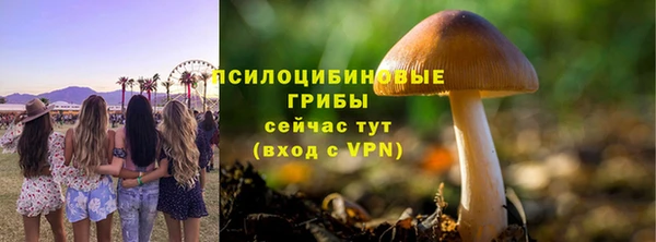 PSILOCYBIN Вязьма