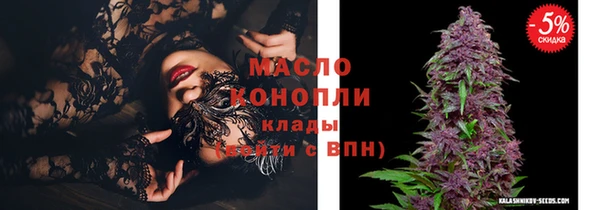 гашик Вяземский