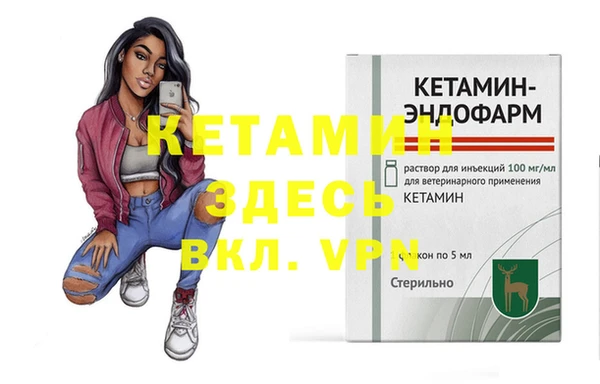 гашик Вяземский