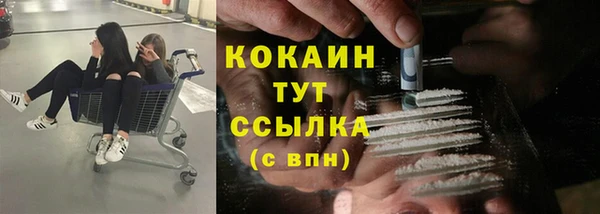 гашик Вяземский