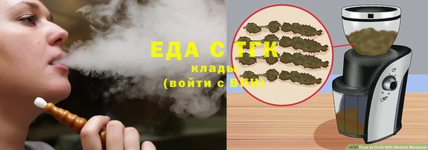 гашик Вяземский