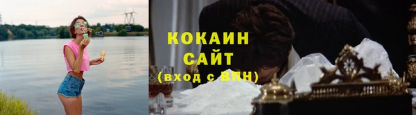 гашик Вяземский