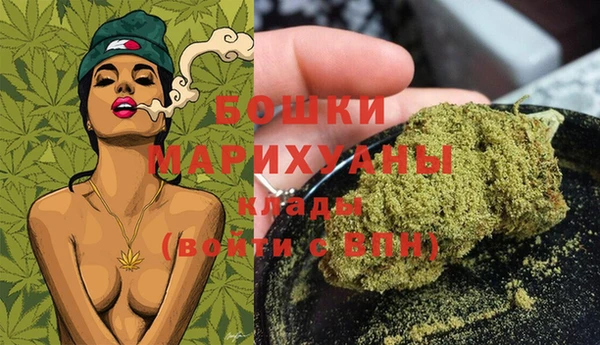 гашик Вяземский