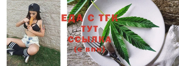 гашик Вяземский