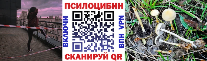 Галлюциногенные грибы мухоморы  Купить закладки  Лагань 