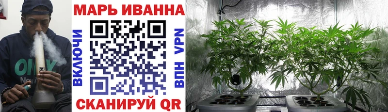 Бошки марихуана SATIVA & INDICA  Купить где  Лагань 